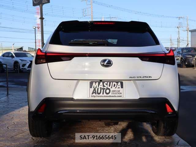 Lexus UX 2023-11 213105-5