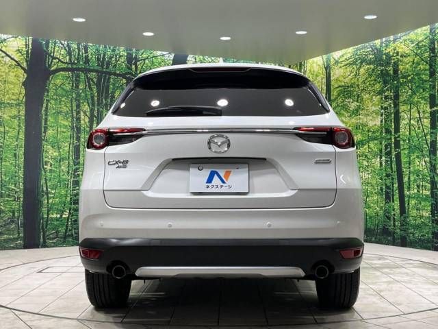Mazda CX-8 2019-05 192966-16