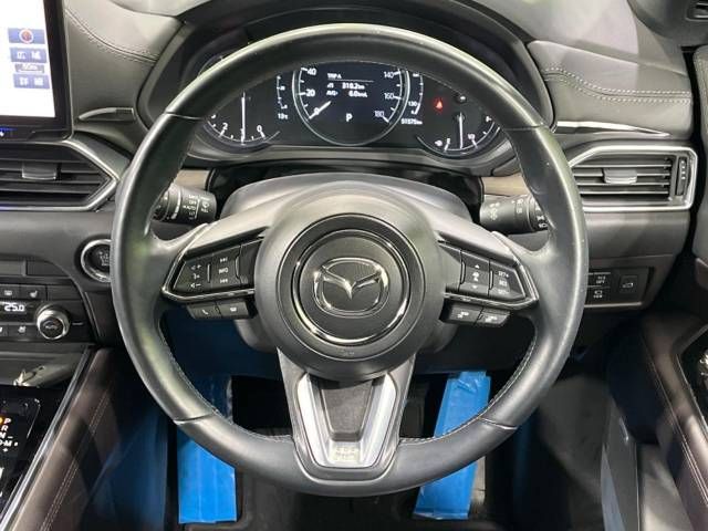 Mazda CX-8 2019-05 192966-12