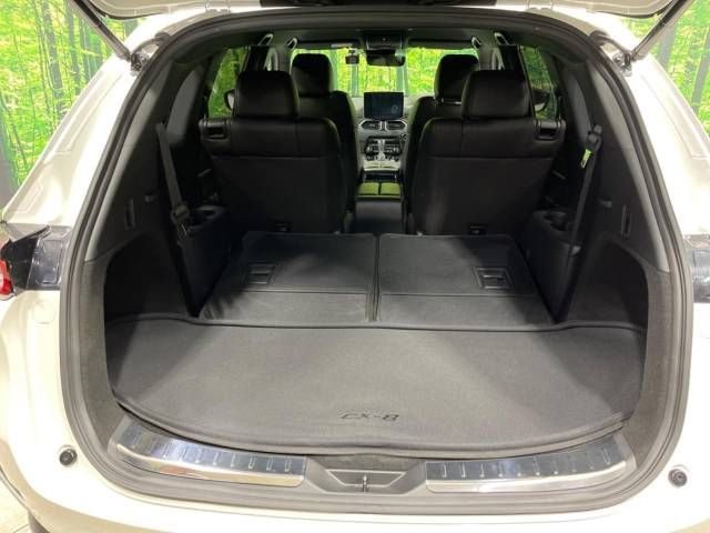 Mazda CX-8 2019-05 192966-11