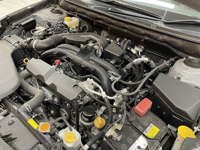 Subaru OUTBACK 2018-06 6606-17
