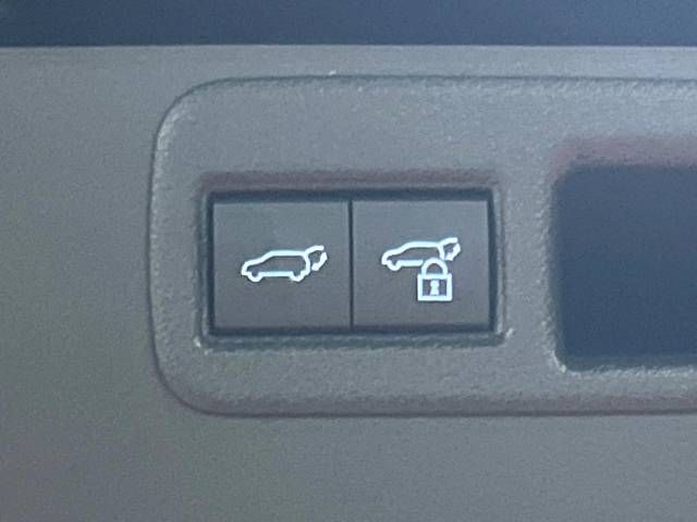 Toyota HARRIER 2020-08 25346-4