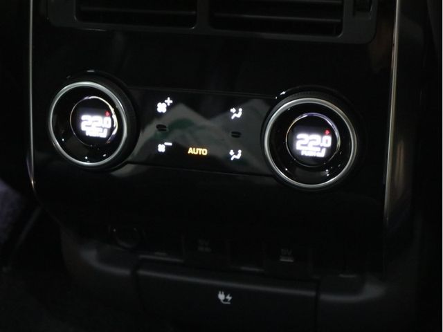 ROVER RANGE ROVER 2021-03 193931-25