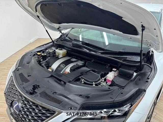 Lexus RX 2020-02 225532-17