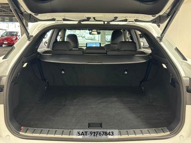 Lexus RX 2020-02 225532-12