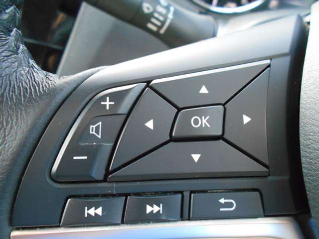 Nissan X-TRAIL 2019-01 10817-15
