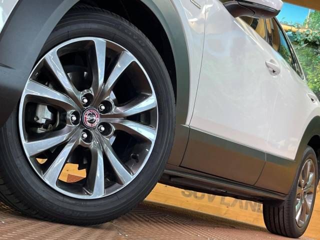 Mazda CX-30 2020-10 186547-15
