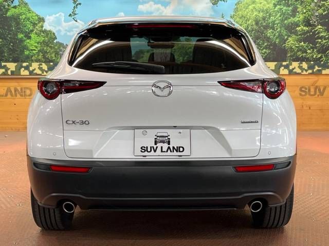 Mazda CX-30 2020-10 186547-17