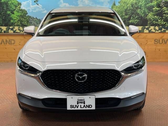 Mazda CX-30 2020-10 186547-16