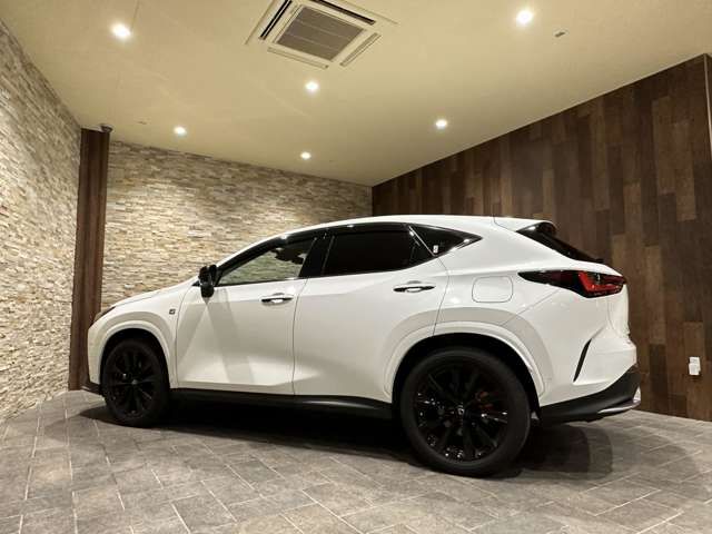 Lexus NX 2022-06 18747-7