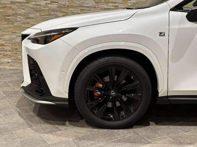 Lexus NX 2022-06 18747-10