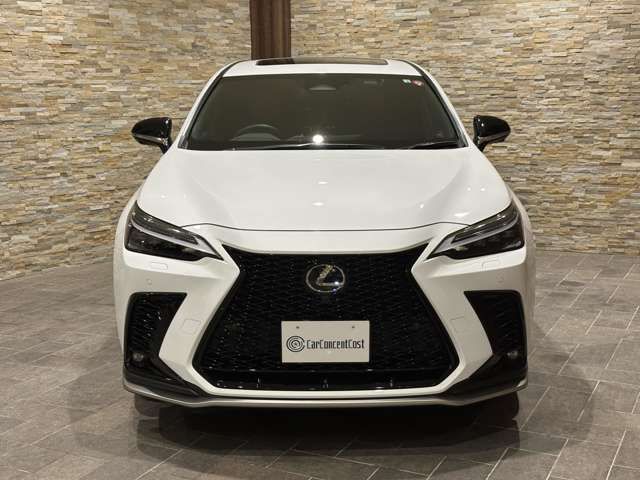 Lexus NX 2022-06 18747-3
