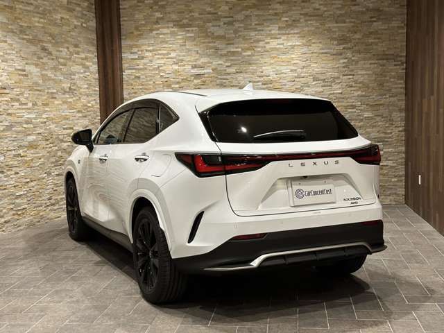 Lexus NX 2022-06 18747-6