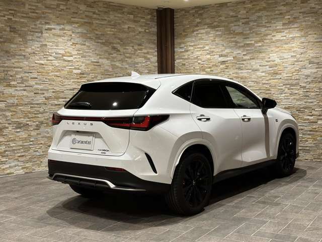 Lexus NX 2022-06 18747-9