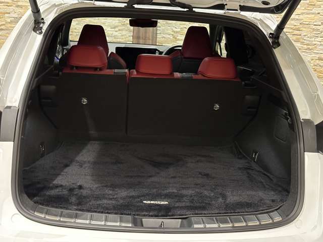 Lexus NX 2022-06 18747-12