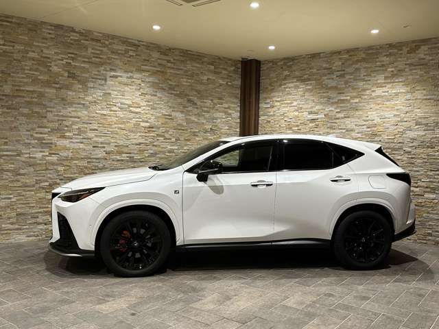 Lexus NX 2022-06 18747-2