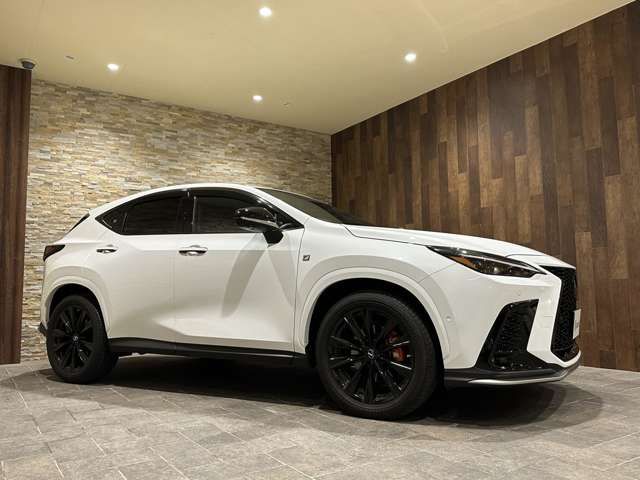 Lexus NX 2022-06 18747-5