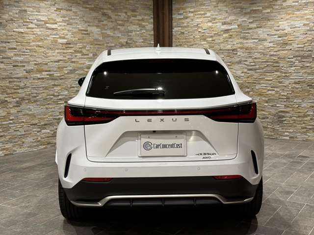 Lexus NX 2022-06 18747-8