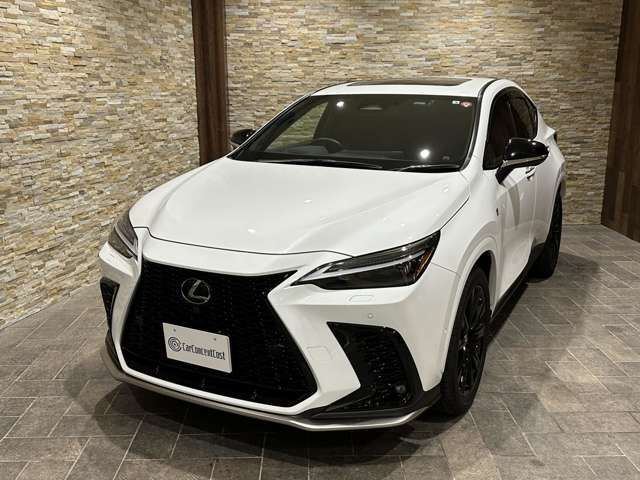 Lexus NX 2022-06 18747-1