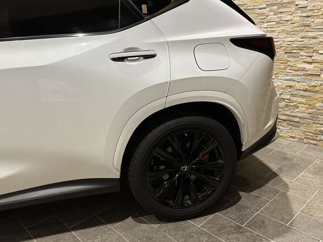 Lexus NX 2022-06 18747-11