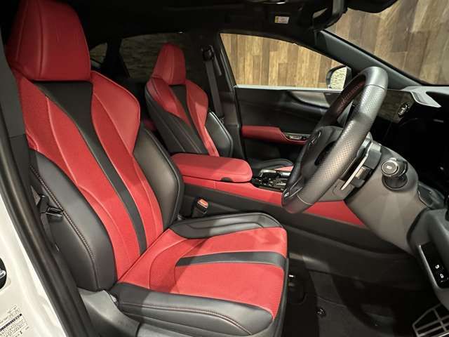 Lexus NX 2022-06 18747-14