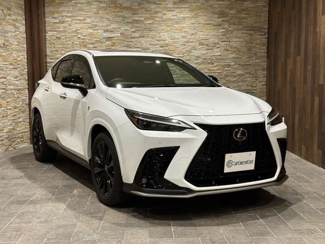 Lexus NX 2022-06 18747-4