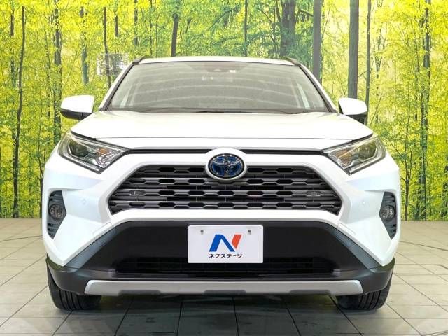 Toyota RAV4 2019-09 188655-14
