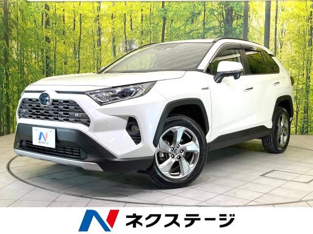 Toyota RAV4 2019-09 188655-0