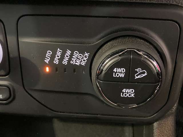 Jeep RENEGADE 2022-06 196712-15