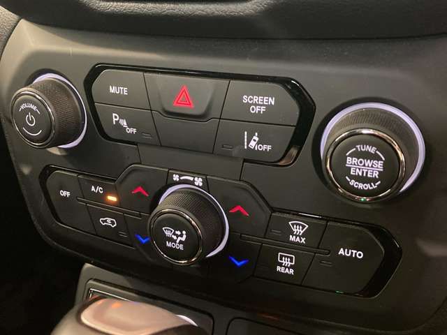 Jeep RENEGADE 2022-06 196712-14