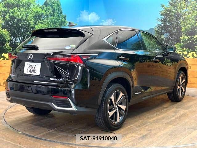 Lexus NX 2020-01 354046-17