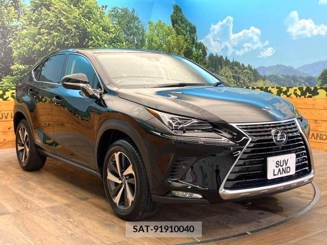 Lexus NX 2020-01 354046-16