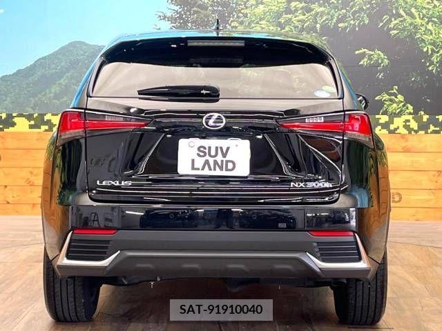 Lexus NX 2020-01 354046-15