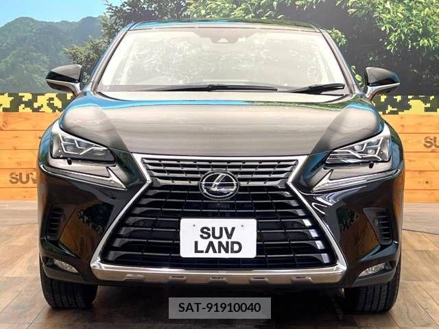 Lexus NX 2020-01 354046-14