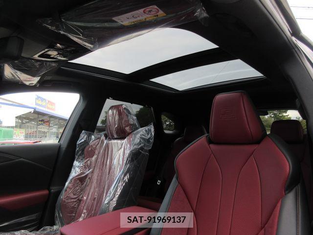 Lexus RX 2023-02 209769-16