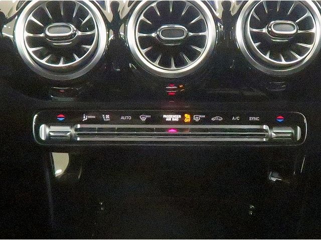 Mercedes Benz A-CLASS 2022-08 5141-8