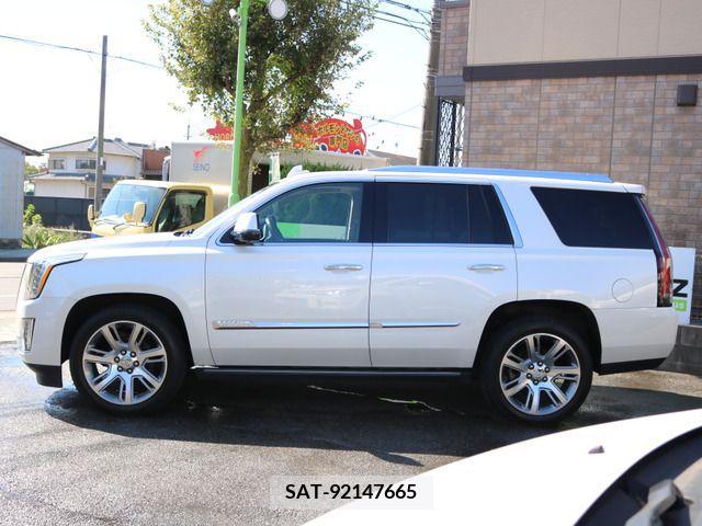 Cadillac ESCALADE 2015-07 202942-5