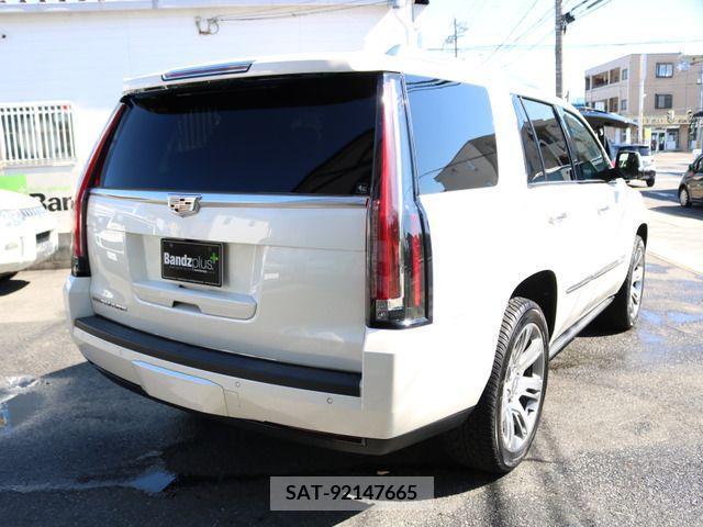 Cadillac ESCALADE 2015-07 202942-8