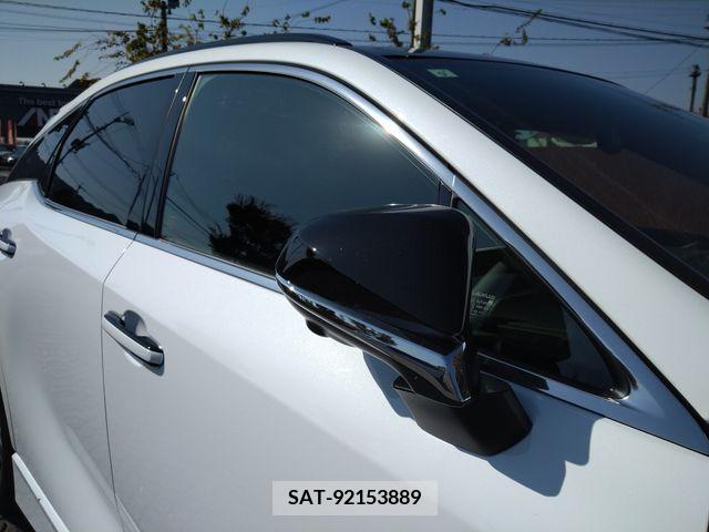 Lexus RX 2023-09 203446-4