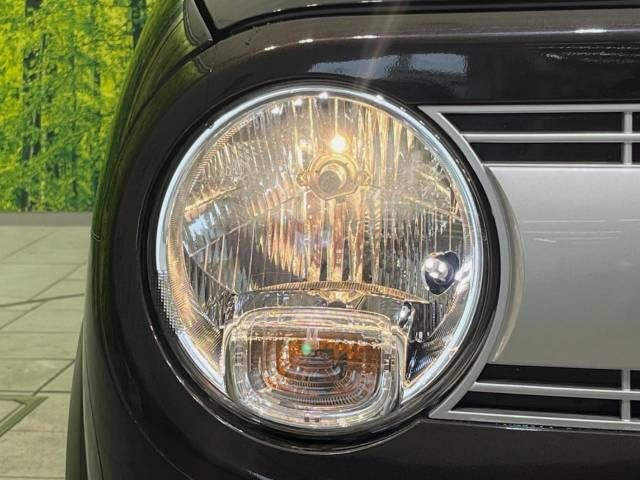Suzuki LAPIN 2017-01 8800-12