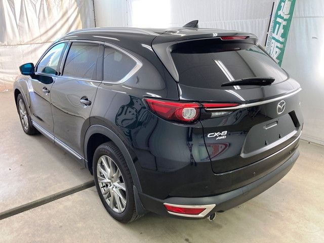 Mazda CX-8 2018-04 24492-2