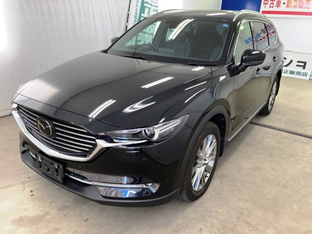 Mazda CX-8 2018-04 24492-3