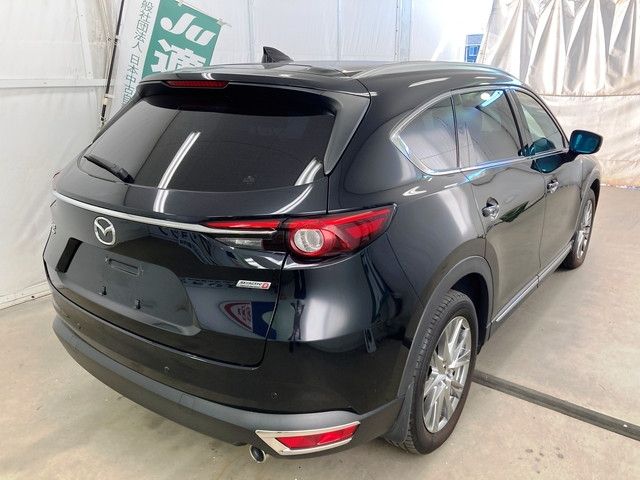 Mazda CX-8 2018-04 24492-4