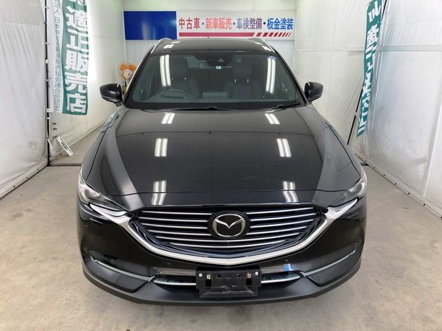 Mazda CX-8 2018-04 24492-5