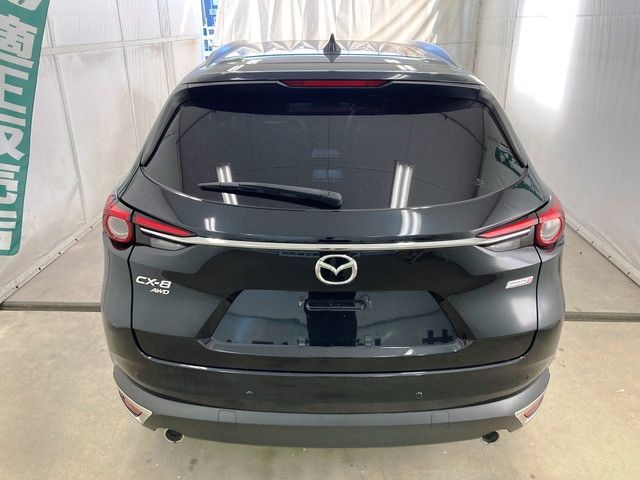 Mazda CX-8 2018-04 24492-6