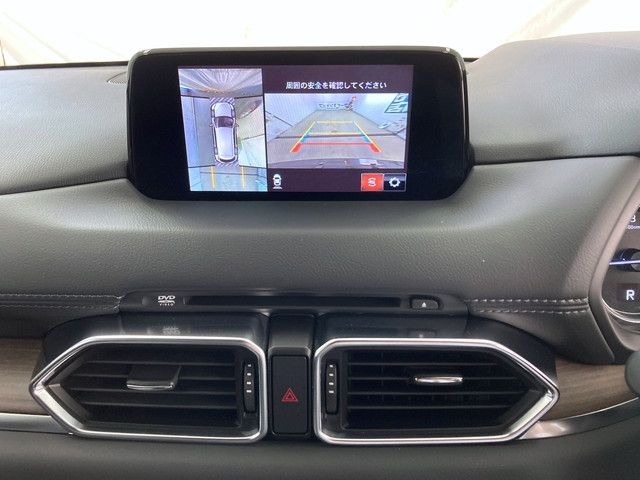 Mazda CX-8 2018-04 24492-24