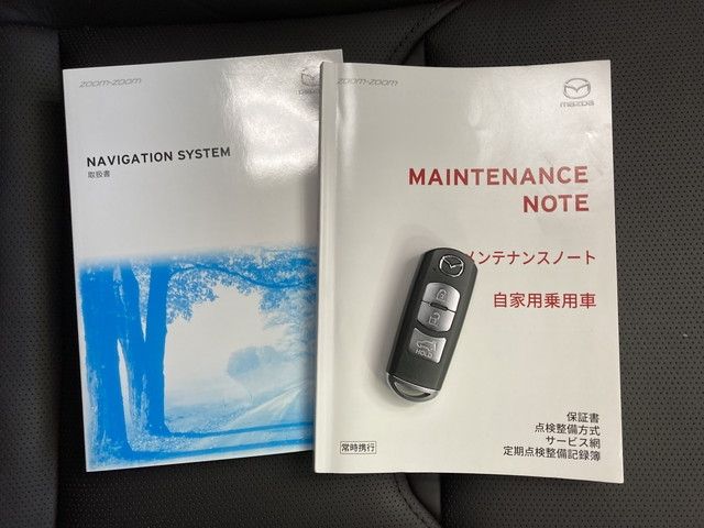 Mazda CX-8 2018-04 24492-25