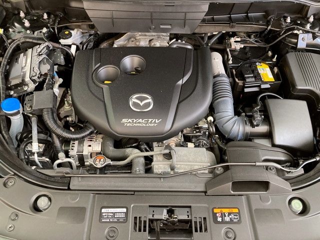 Mazda CX-8 2018-04 24492-29