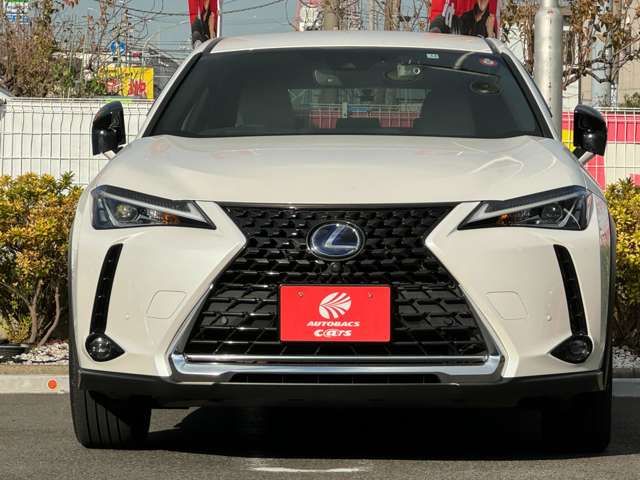 Lexus UX 2021-12 191737-1