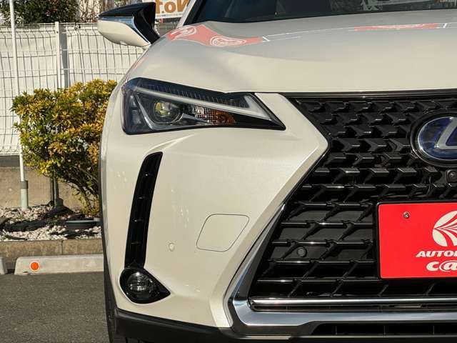 Lexus UX 2021-12 191737-8